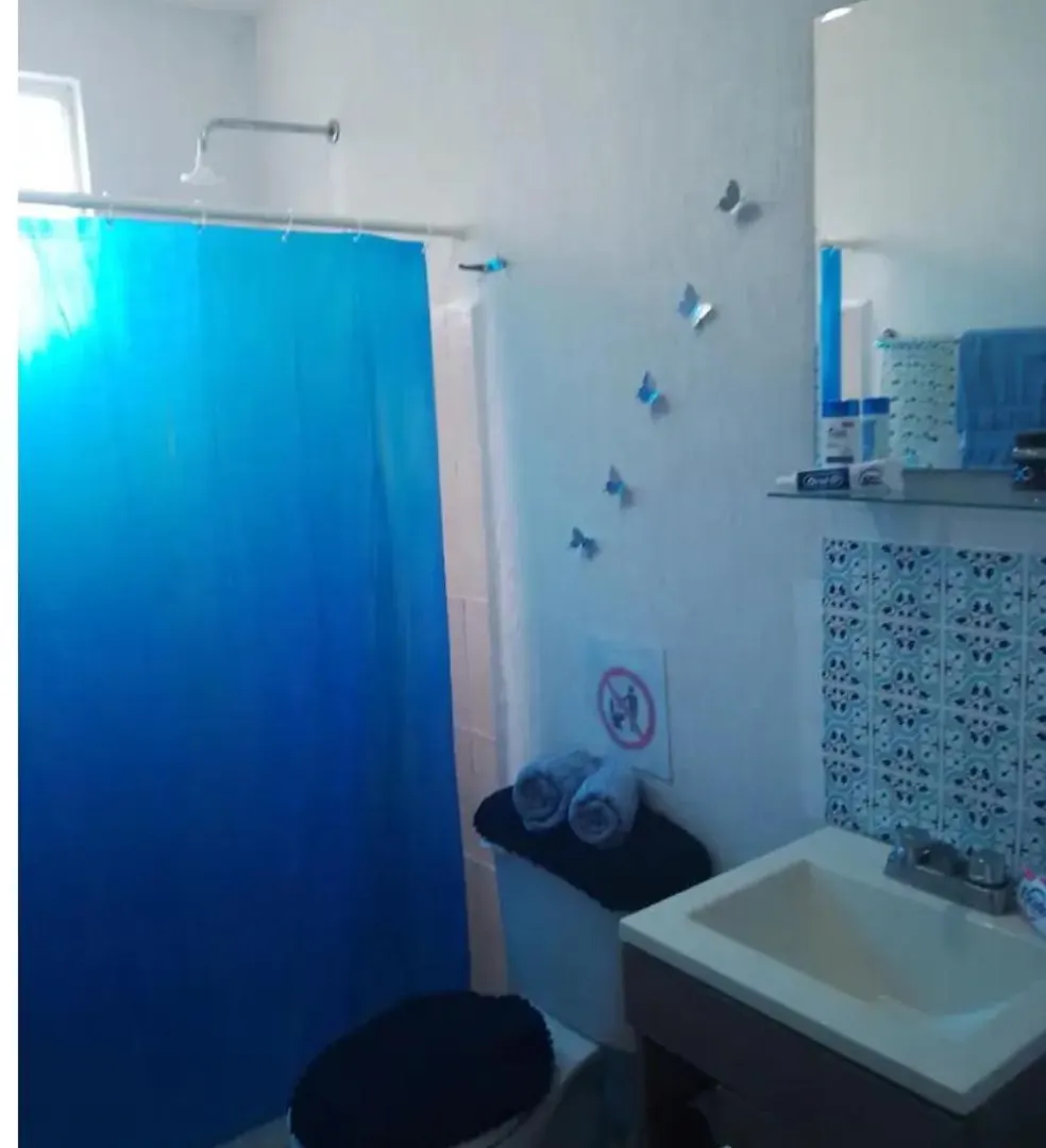 Departamento Tren Maya ,Playa Del Carmen